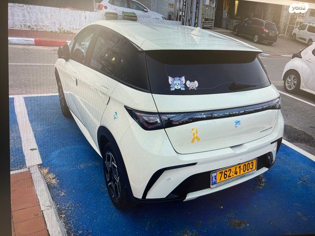 מודעת רכב בי.ווי.די דולפין