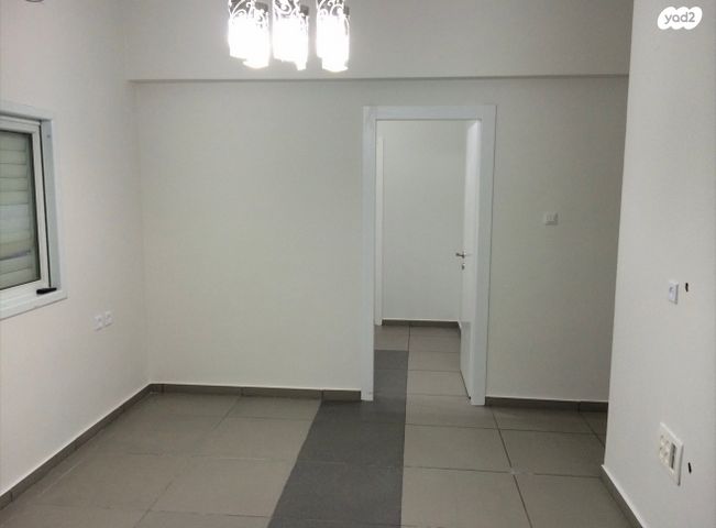 דוד וולפסון 3