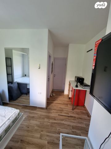 אריה בן אליעזר 44