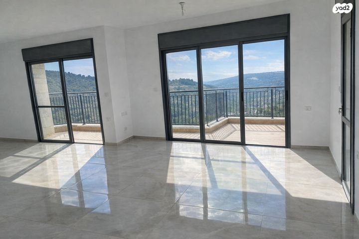 אבנר חי שאקי 43