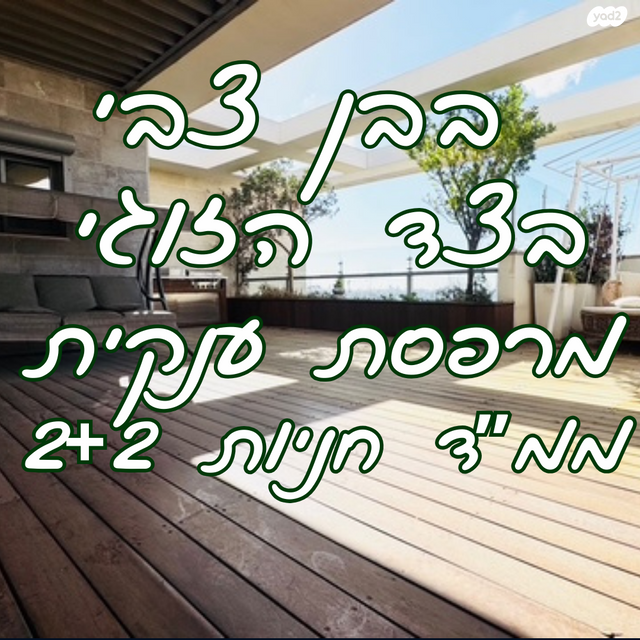 שמעון בן צבי 