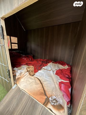 תמונת מודעה - חיות מחמד