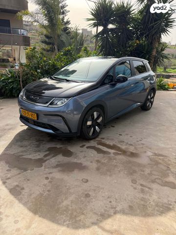 מודעת רכב בי.ווי.די דולפין