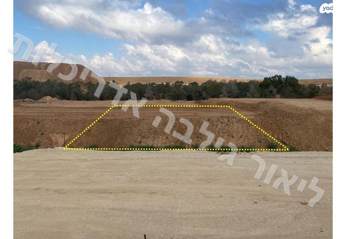 נווה דקלים 1