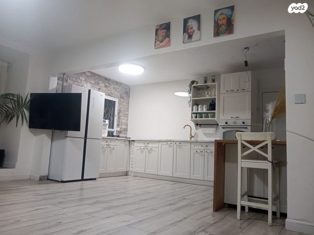 אריה צימוקי 7