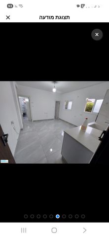 דב ממזריץ' 24