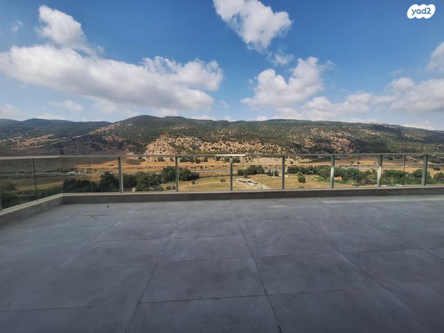 מעלה אבשלום 55