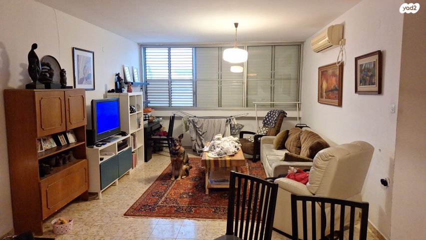 אחים קיבוביץ' 5