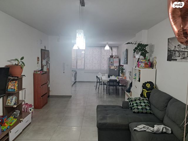 ברודצקי אשר 3