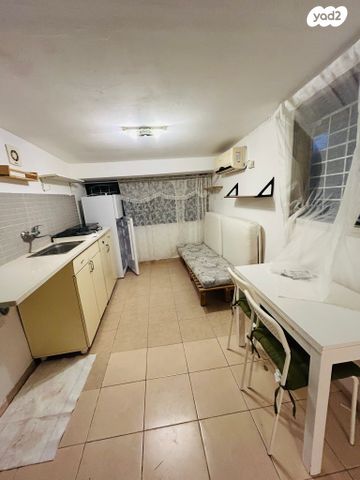 אלכסנדר זייד 10