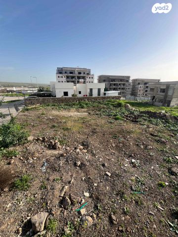 מגרשים, קצרין