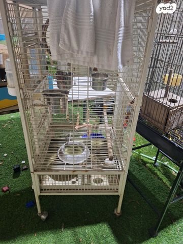 תמונת מודעה - חיות מחמד