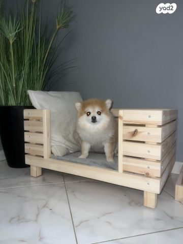 תמונת מודעה - חיות מחמד