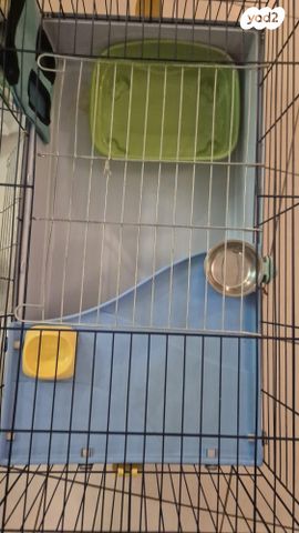 תמונת מודעה - חיות מחמד