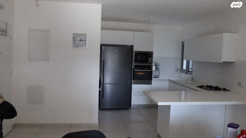 אריאל שרון 10