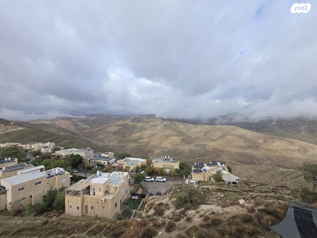 נחל ערוגות 31