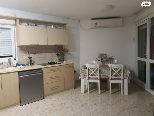 אריה דולצ'ין 44