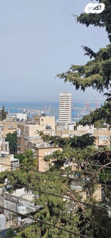 ציפורה זייד 9