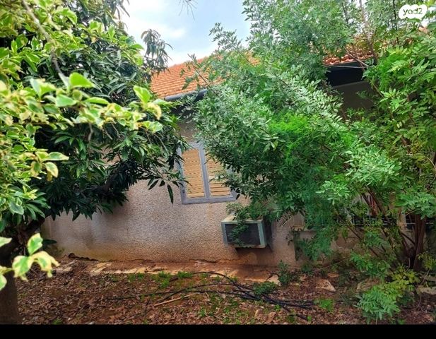 ליפא קרפל 15