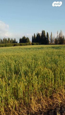 עובדי האדמה 1