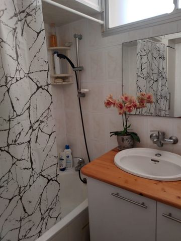 דוד אלעזר 866