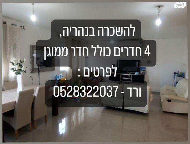 המלך שאול 15