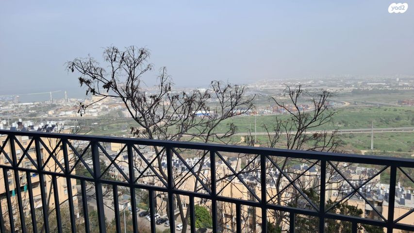 חיים ברלב 23