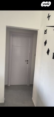 ח.מ. שפירא 17