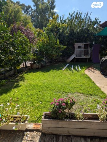 שמעון הצדיק 6