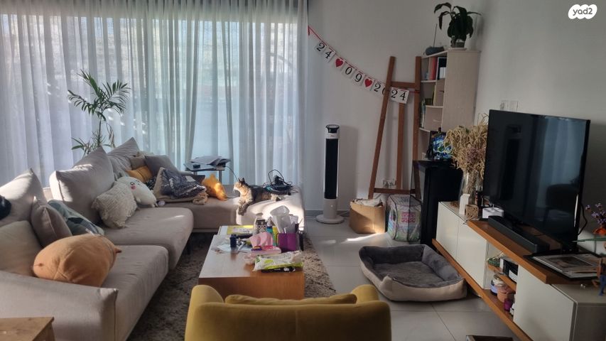 פנחס רוטנברג 54