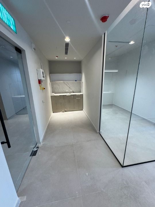 שושנה דמארי 1