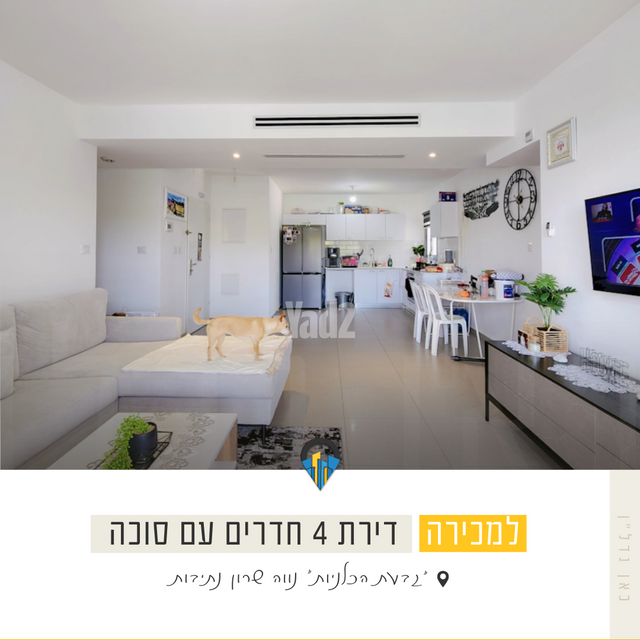 אריאל שרון 14