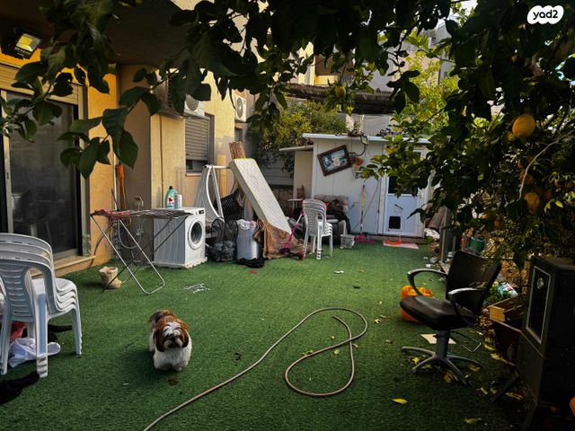 דירת גן, אבני חפץ