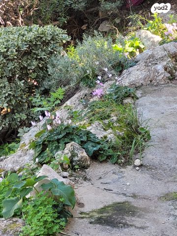 קרית שפרינצק