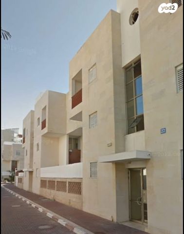 דוד וולפסון 