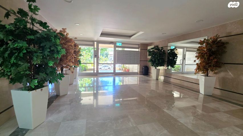 דירה, כפר סבא