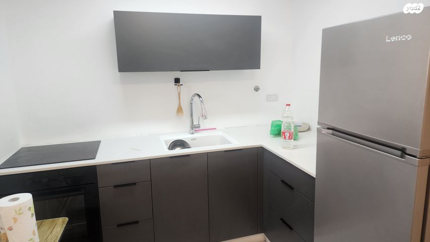 שבטי ישראל 29