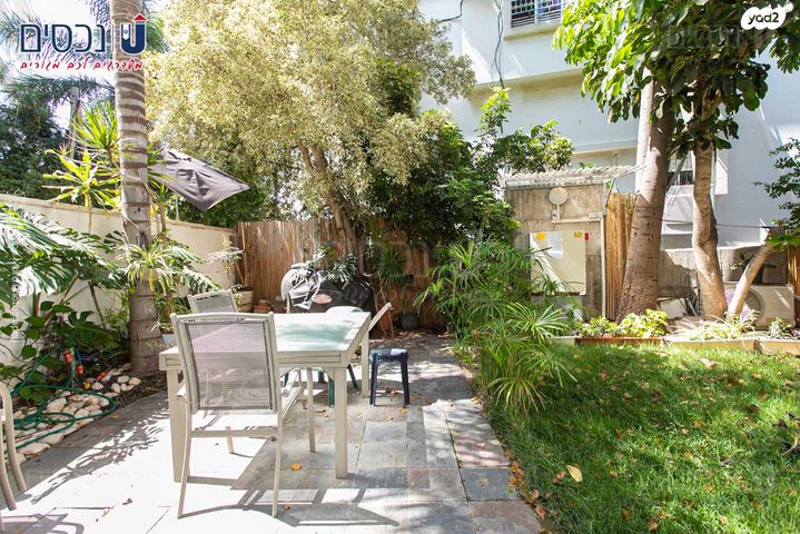 שלומציון המלכה 