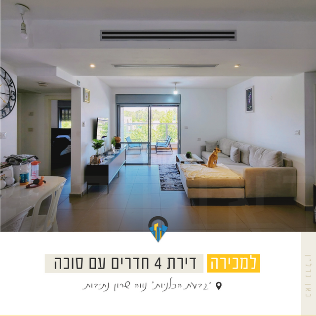 אריאל שרון 14