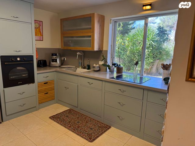 הוד הכרמל, דניה