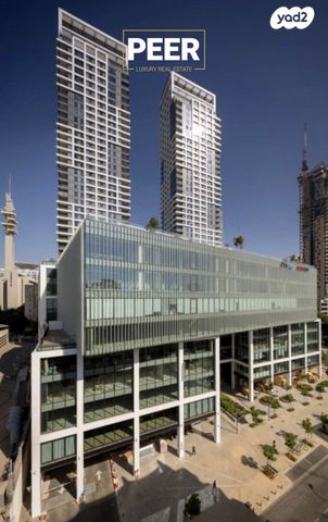 ליאונרדו דה וינצ'י 