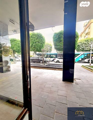 יהושע חנקין 