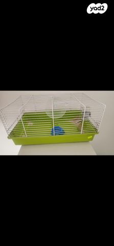 תמונת מודעה - חיות מחמד