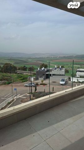 האקליפטוס 110