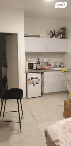 זלמן שניאור 11