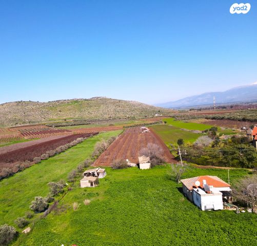 משק חקלאי/ נחלה