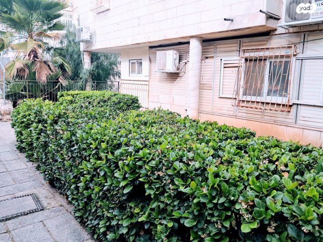 מעגלי הרי"ם לוין 