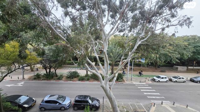 דירה, הצפון החדש - דרום, תל אביב יפו