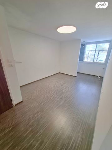 שועלי שמשון