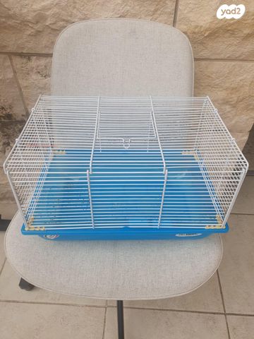 תמונת מודעה - חיות מחמד